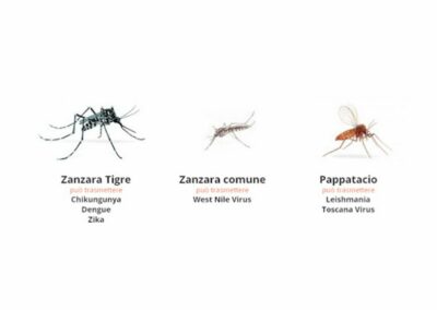 disinfestazione zanzare Trieste tipi